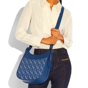 Coach Emery - Horse and Carriage NWT